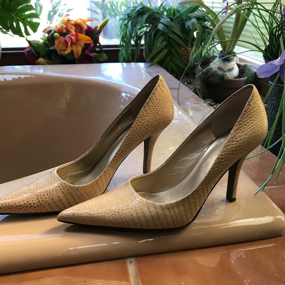Pumps